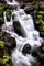 Trailside Waterfall I Poster Print by Douglas Taylor - Item # VARPDXPSTLR626